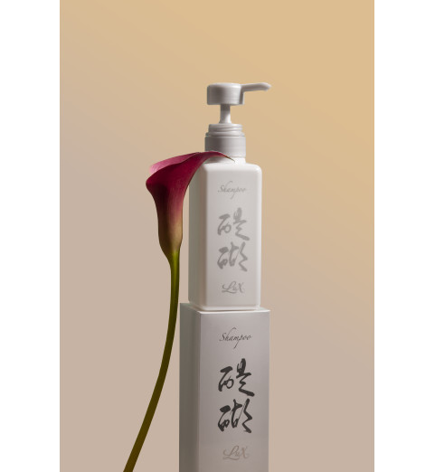 Daigo Shampoo Lux / Шампунь для восстановления микрофлоры кожи головы, 300 мл